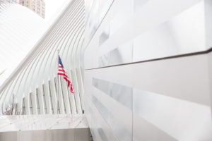 Flag with Building